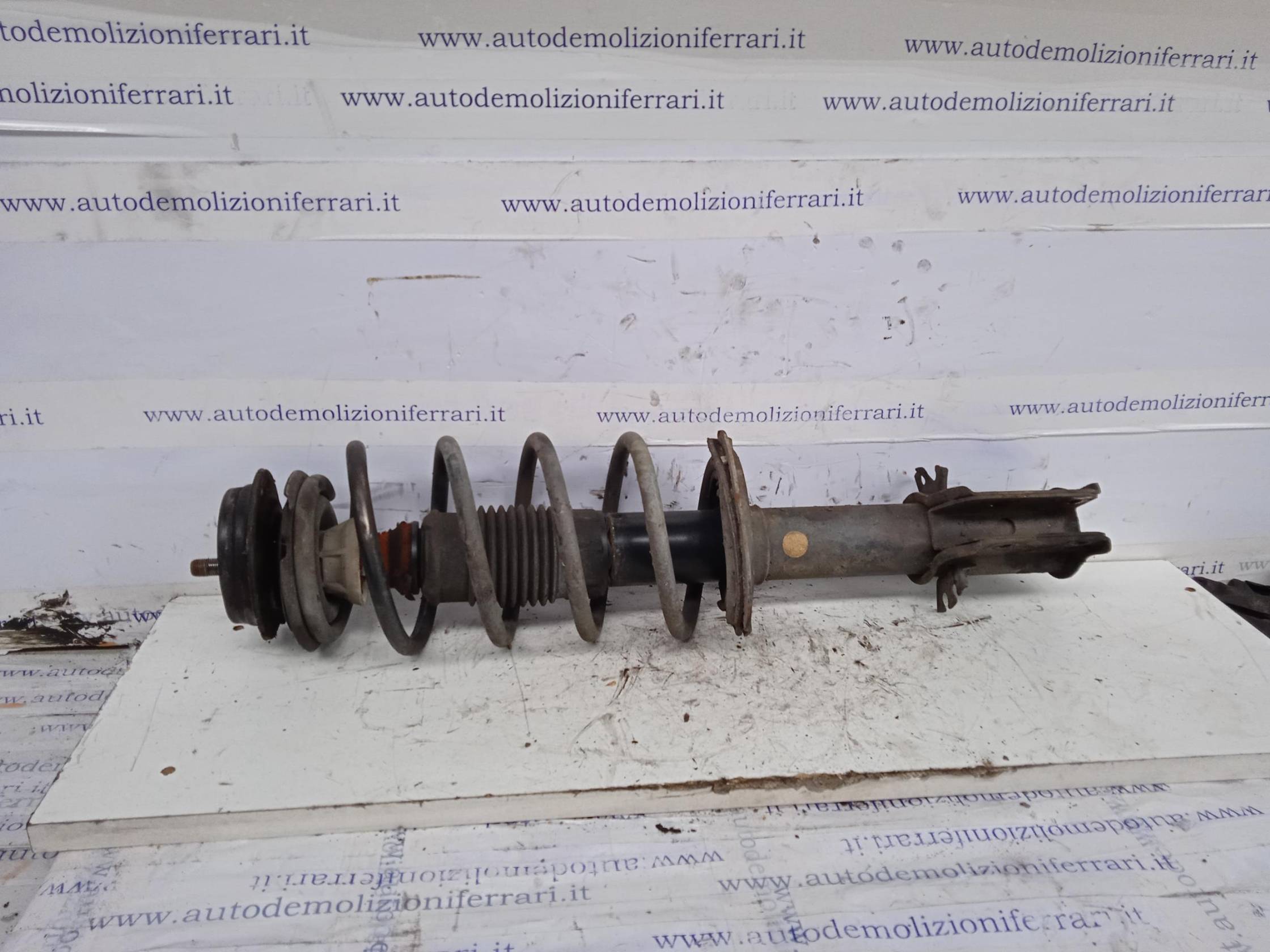 Ammortizzatore ant. sx.